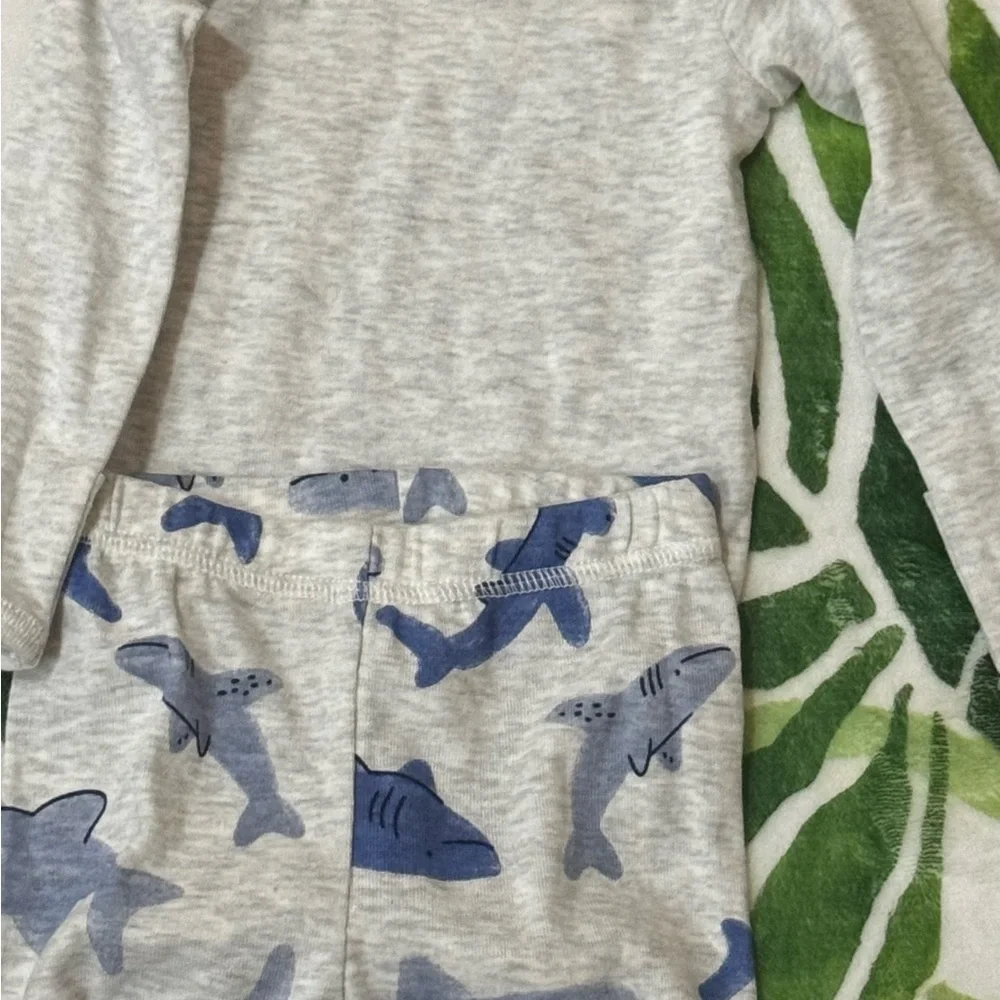 Carter's Baby Clothing Set with Green, Beige, Gray, and Blue Designs - Picture 5 of 6